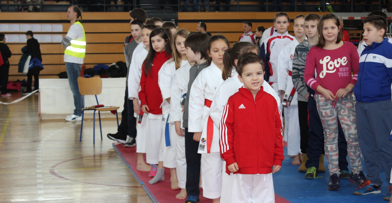 Šest medalja iz Ivanić Grada 
