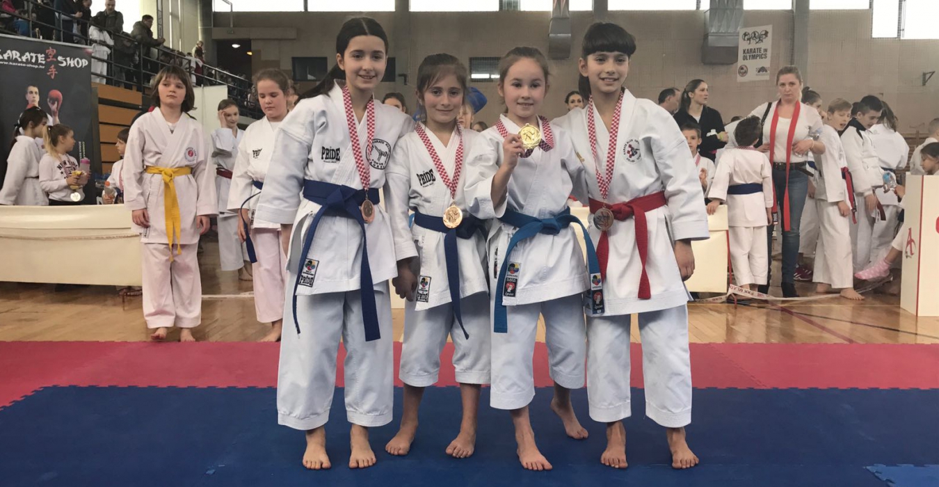 Pet medalja iz Ivanić Grada